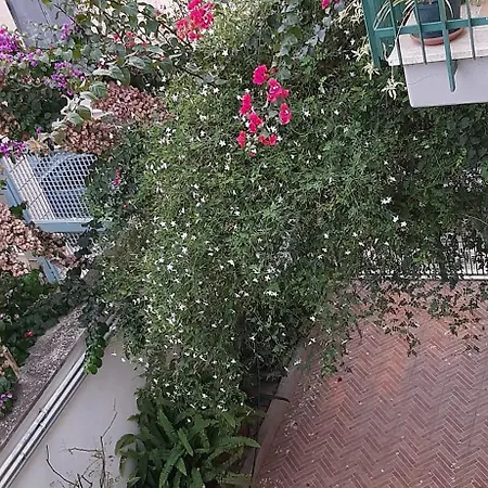 Eden House 아파트 바리