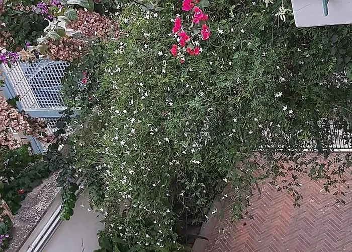 Eden House Appartement Bari